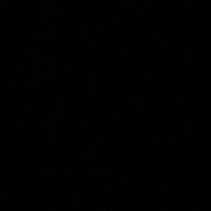 Meet your Posher, Kellis